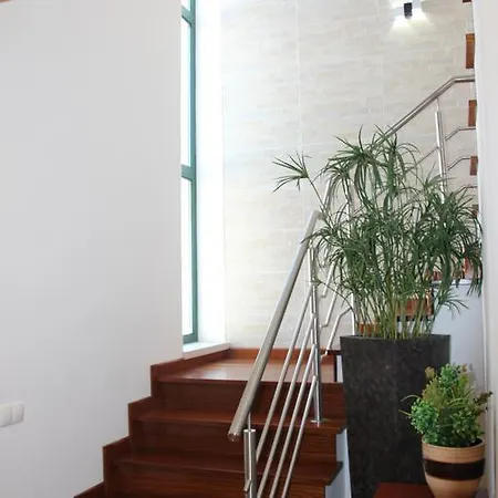 Olive View Holiday home Vila Nova da Barquinha