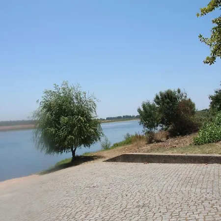 Olive View Holiday home Vila Nova da Barquinha