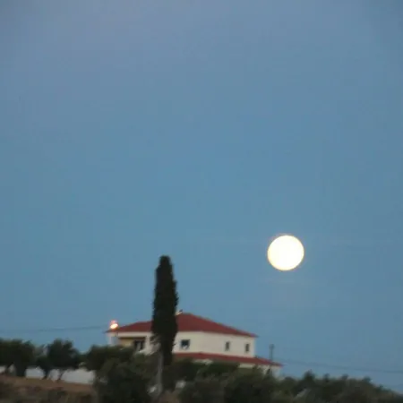 Holiday home Olive View *